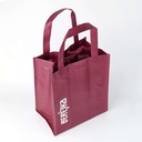 Bag for 6 wines